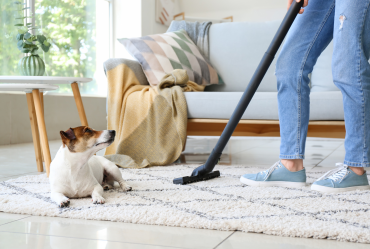 How to Maintain a Clean Home When You Have Pets